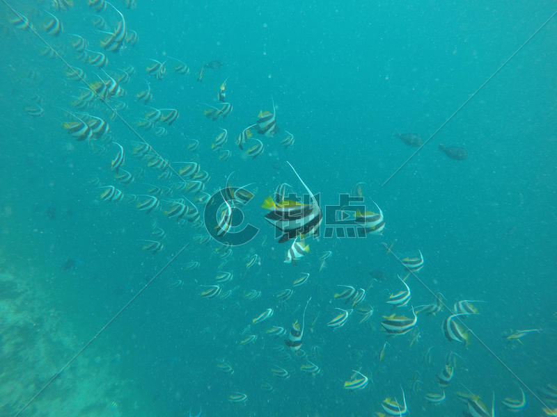 马尔代夫5.8海底餐厅图片素材免费下载