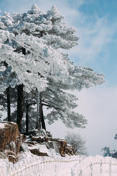雪后黄山图片素材免费下载