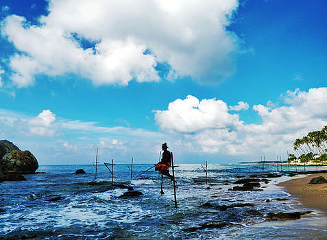 斯里兰卡高跷渔夫图片素材免费下载