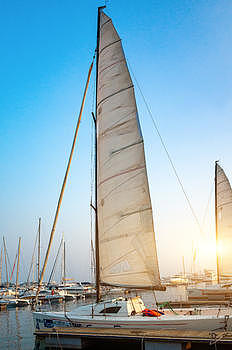 青岛奥帆中心的帆船图片素材免费下载
