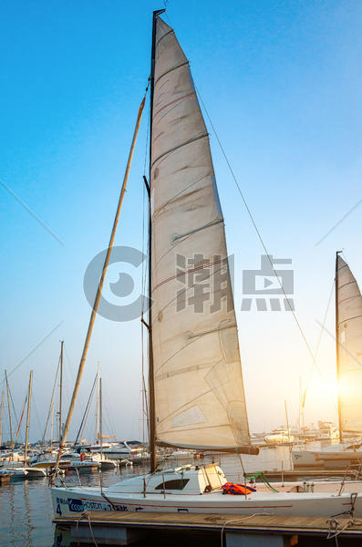 青岛奥帆中心的帆船图片素材免费下载