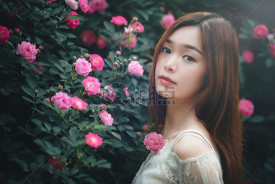  蔷薇花与美女图片素材免费下载