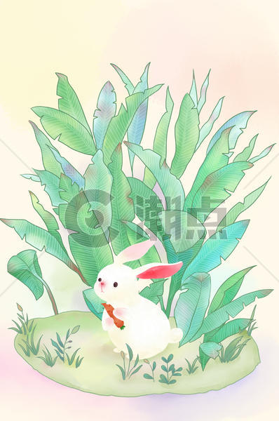草丛里吃胡萝卜的萌萌哒小白兔图片素材免费下载
