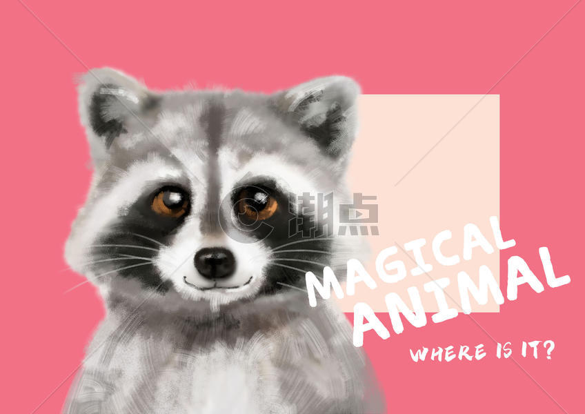 神奇动物——狸猫图片素材免费下载