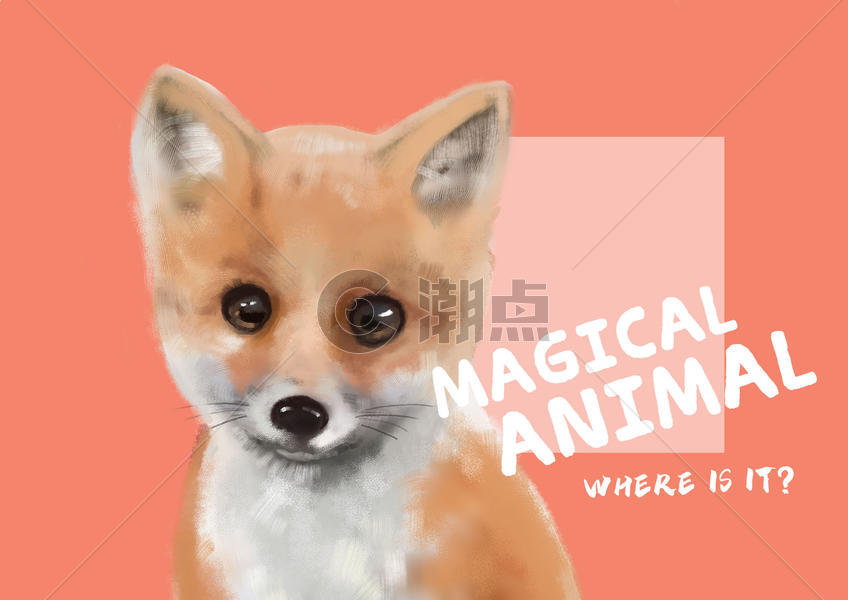 神奇动物——狐狸图片素材免费下载