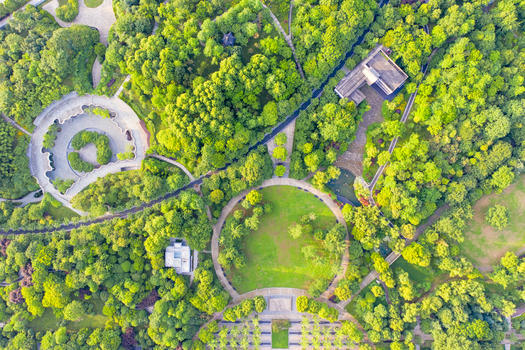 俯瞰城市森林公园绿化图片素材免费下载