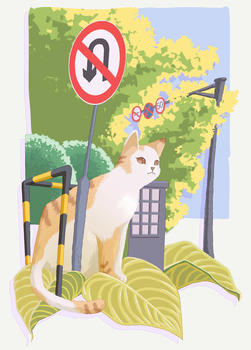 一只在城市的猫咪图片素材免费下载