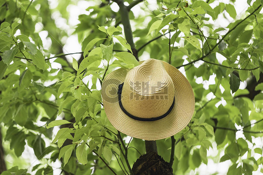 夏季帽子图片素材免费下载