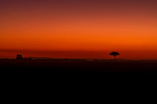 非洲草原的晨曦图片素材免费下载