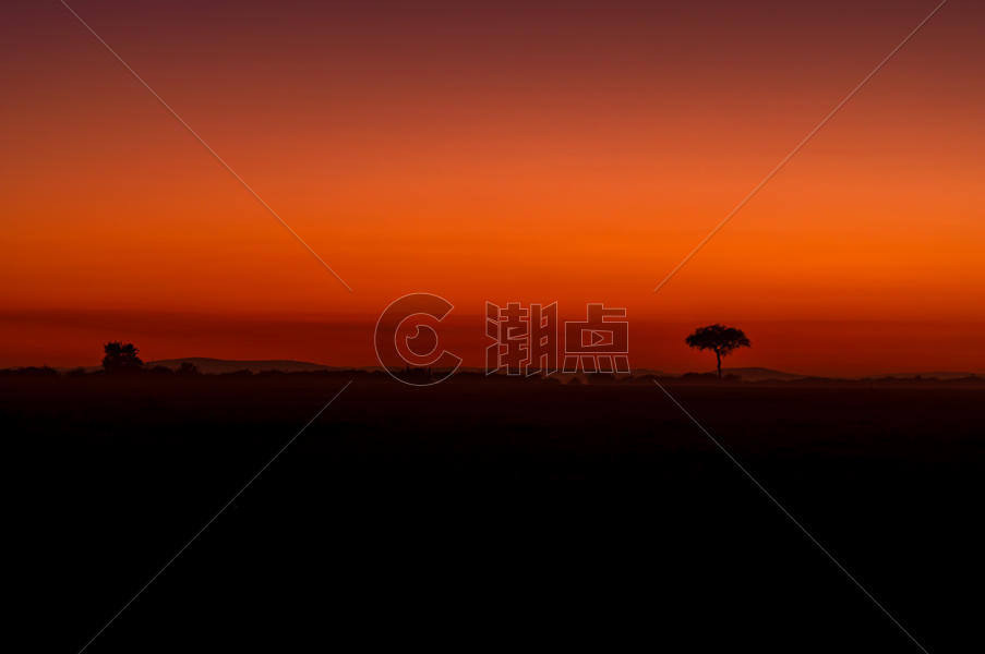 非洲草原的晨曦图片素材免费下载