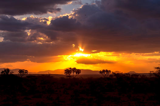 非洲草原日落图片素材免费下载