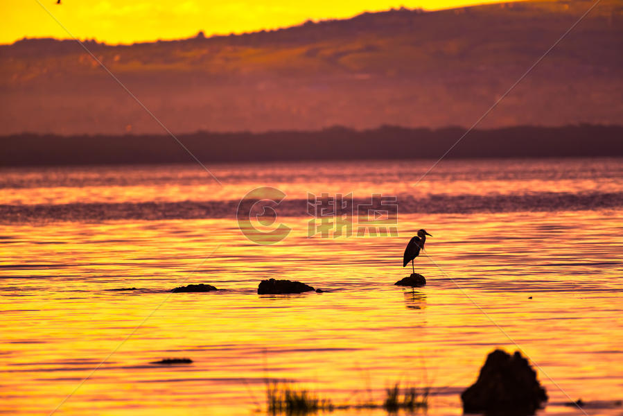 黄昏中的纳库鲁湖图片素材免费下载