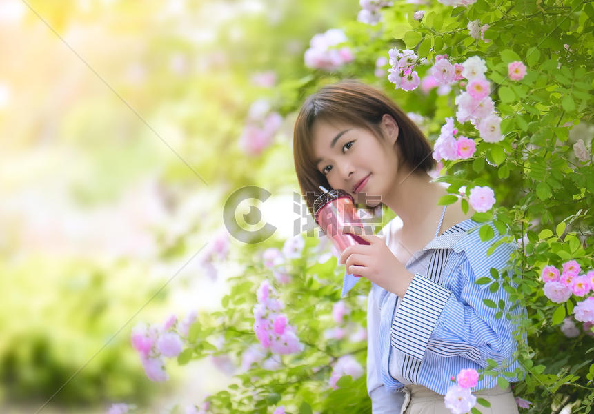 蔷薇夏季女孩图片素材免费下载