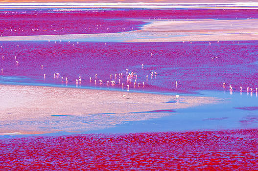红湖风光图片素材免费下载