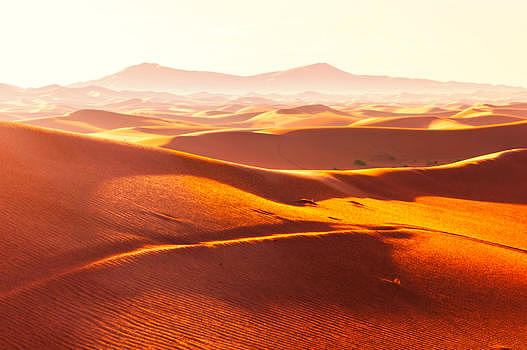 撒哈拉的沙丘图片素材免费下载