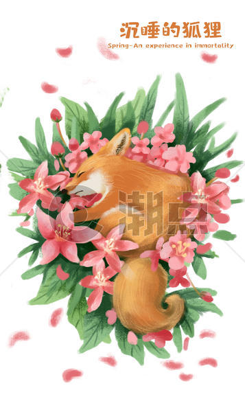 沉睡花丛的狐狸图片素材免费下载