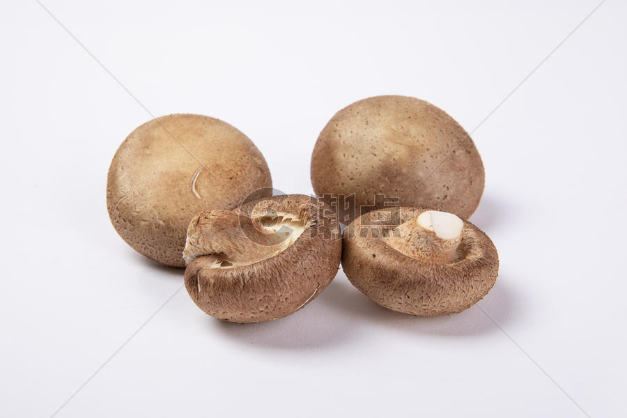 蘑菇香菇图片素材免费下载