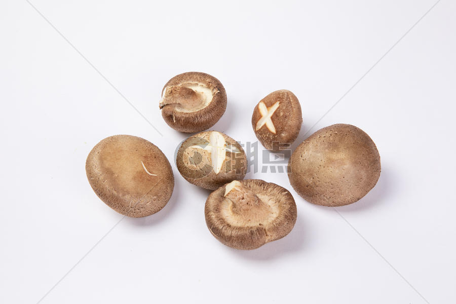 蘑菇香菇图片素材免费下载