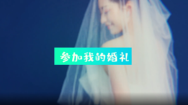 快闪快速婚礼内容图文介绍宣传片头展示视频的预览图