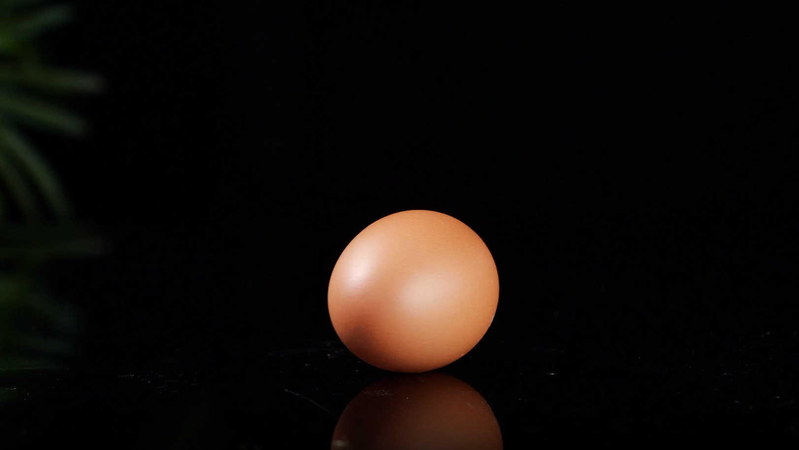 4k高清鸡蛋特效合集视频的预览图