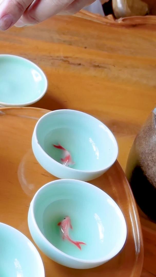 冲泡云南普洱茶的视频素材视频的预览图