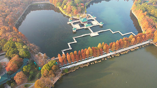 航拍城市公园秋天景观湖景绿道风景4k素材视频的预览图