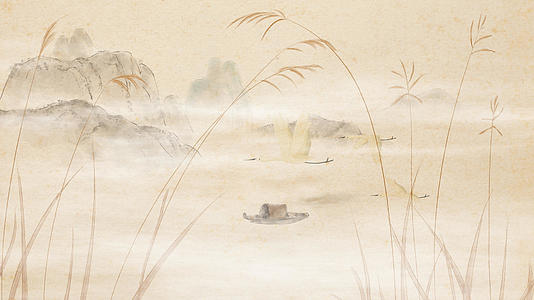 河边芦苇白鹭飞舞秋景视频视频的预览图