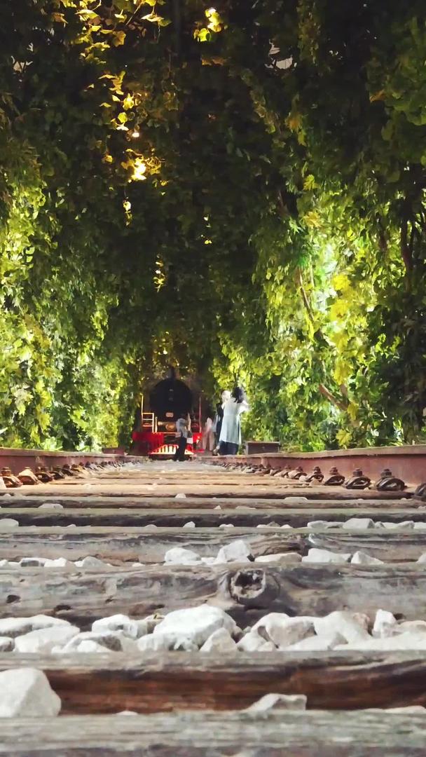 城市风光武汉文艺小清新地标绿野仙踪爱情隧道恋人最喜欢的铁轨素材视频的预览图