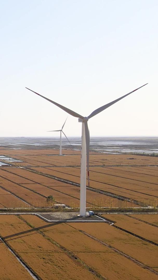 稻田航拍风力发电机视频的预览图
