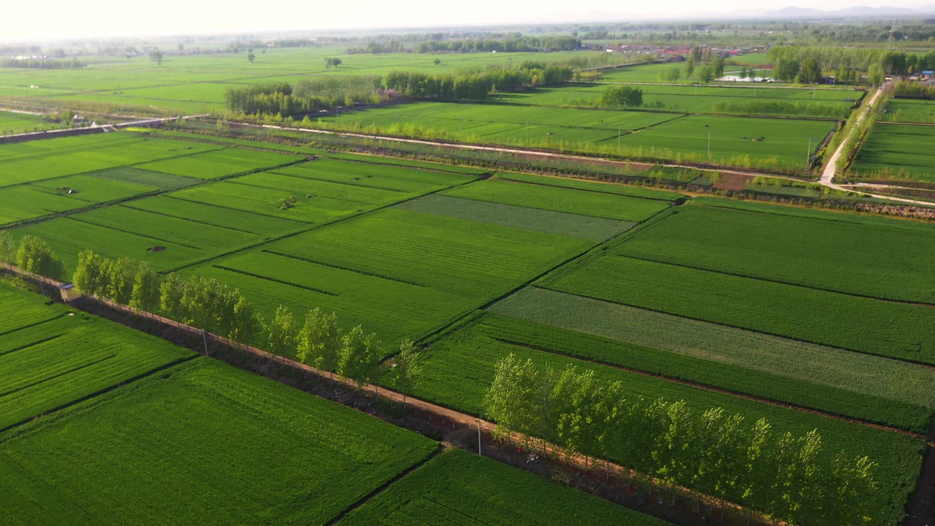 航拍农田种植视频视频的预览图