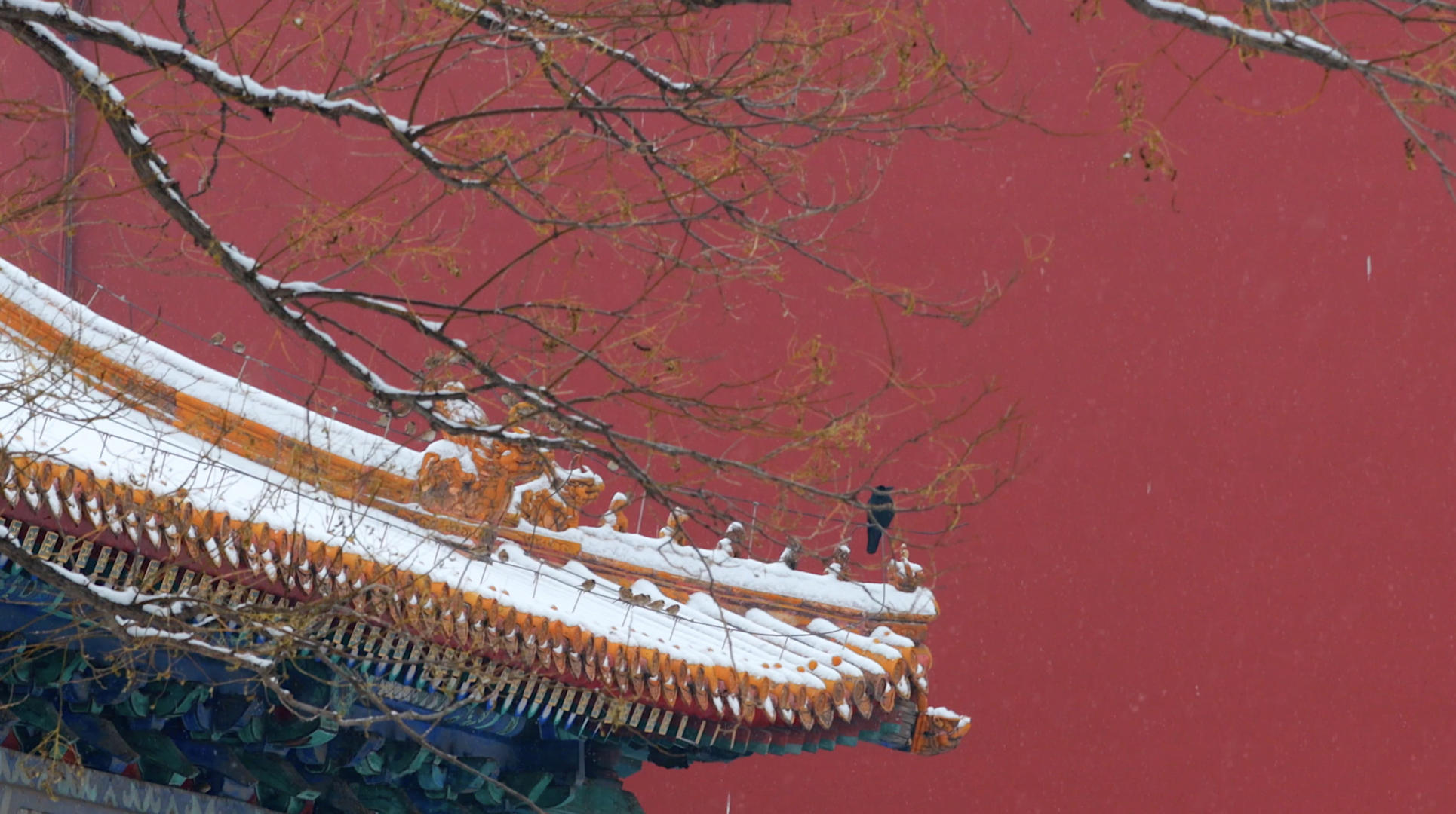 4k下雪时唯美的故宫紫禁城视频的预览图