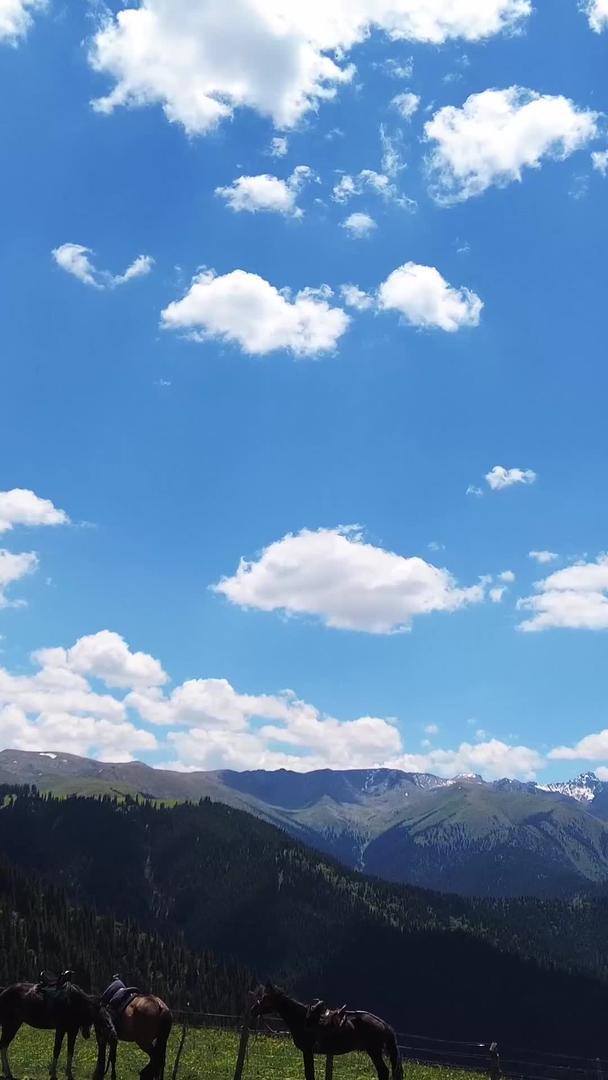 新疆蓝天白云辽阔的草原上到处都是骏马旅游素材视频的预览图