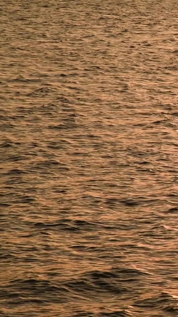 夕阳下波光粼粼的水面视频的预览图
