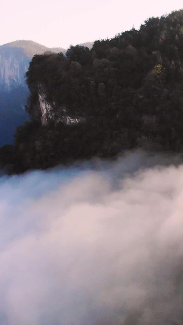 大山深处的云海航拍云海视频的预览图