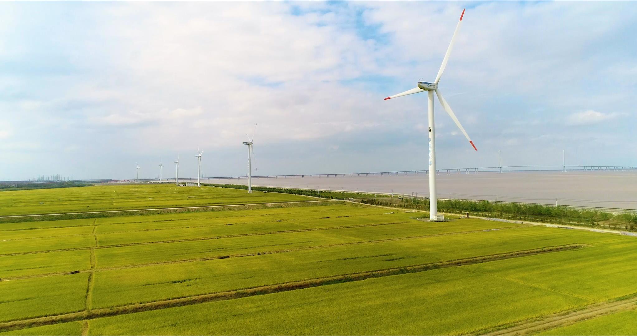 4k稻田风车航拍风景视频的预览图