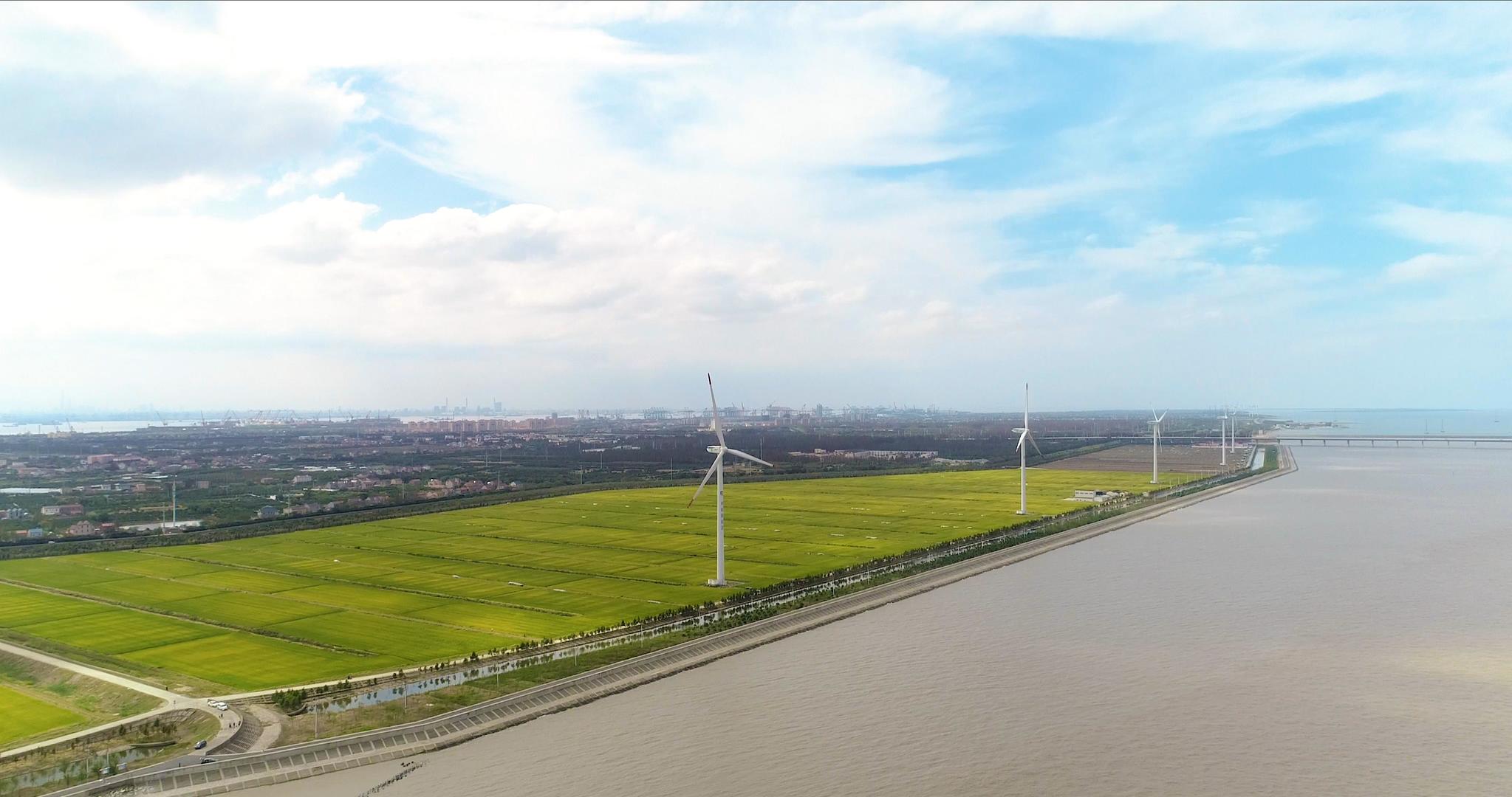 4k上海长兴岛海边风车航拍视频的预览图