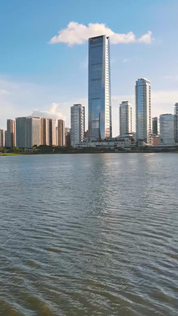 沿海城市深圳南山海边建筑竖屏视频的预览图