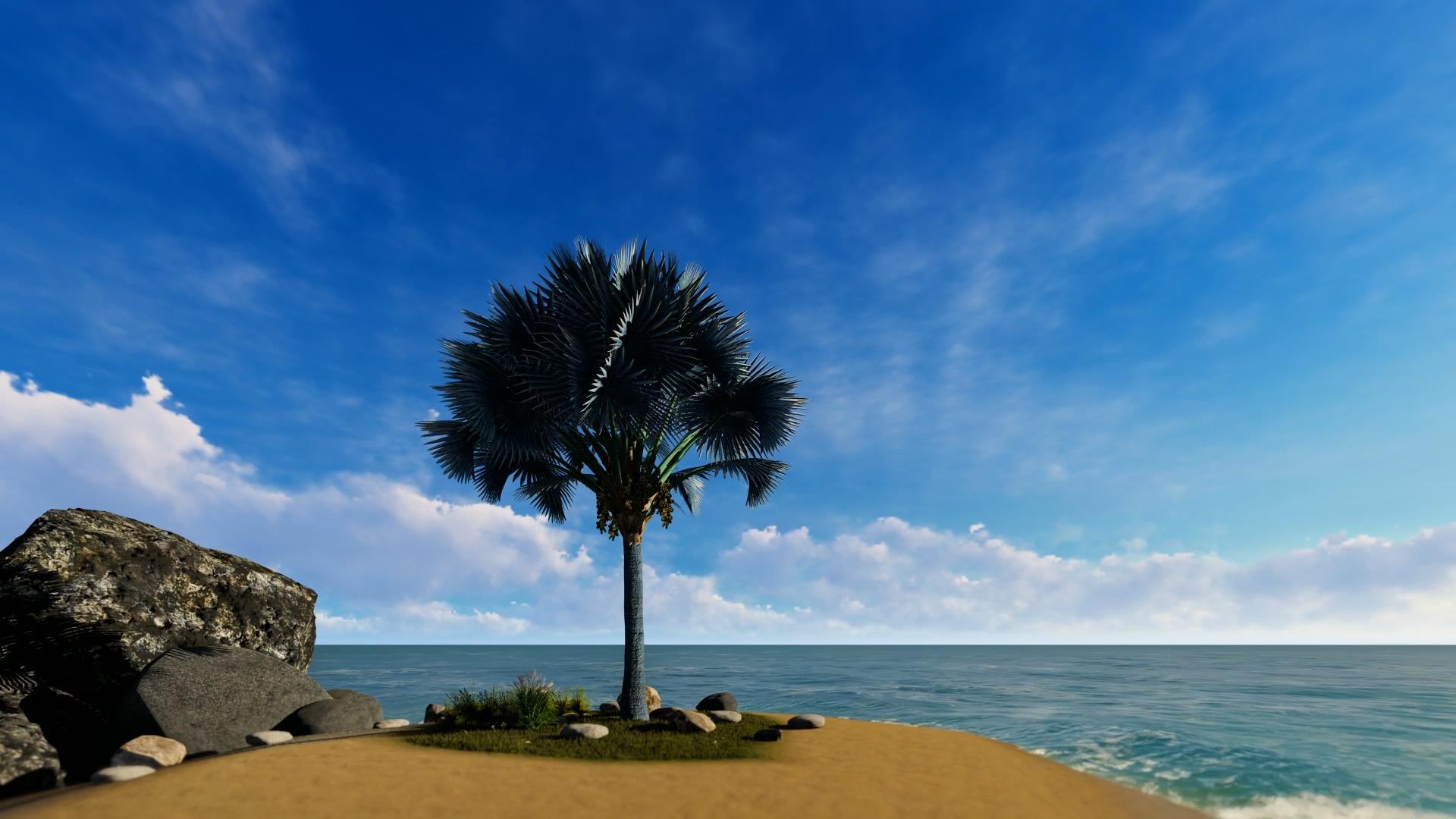 海边背景视频的预览图