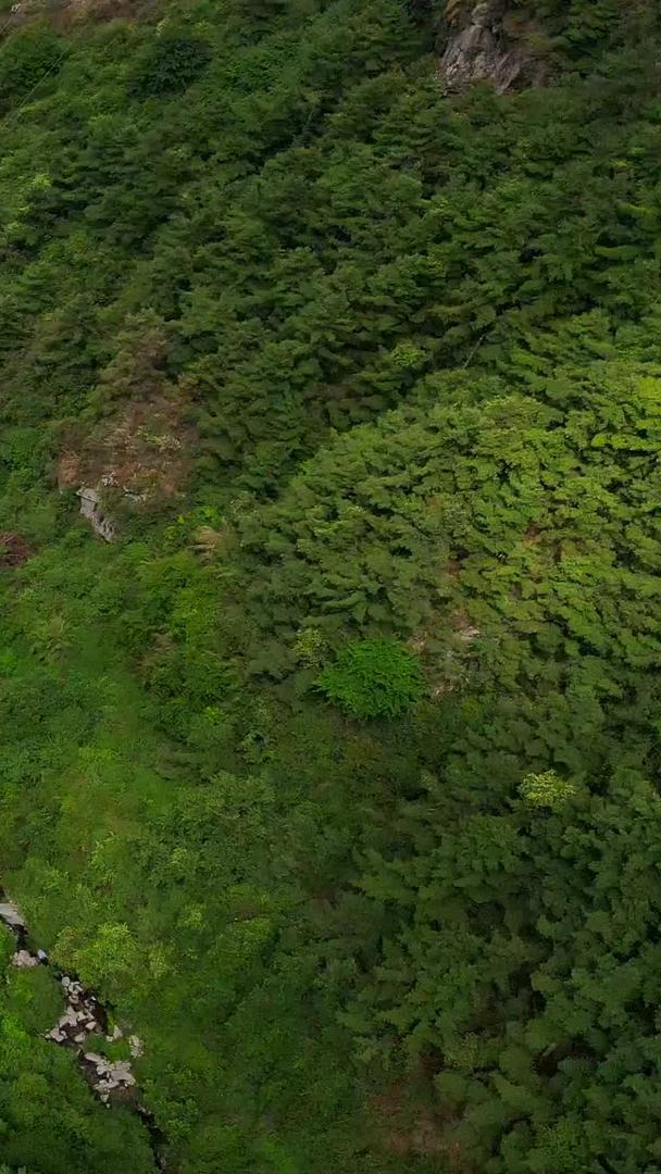 索道森林航拍峡谷缆车视频的预览图