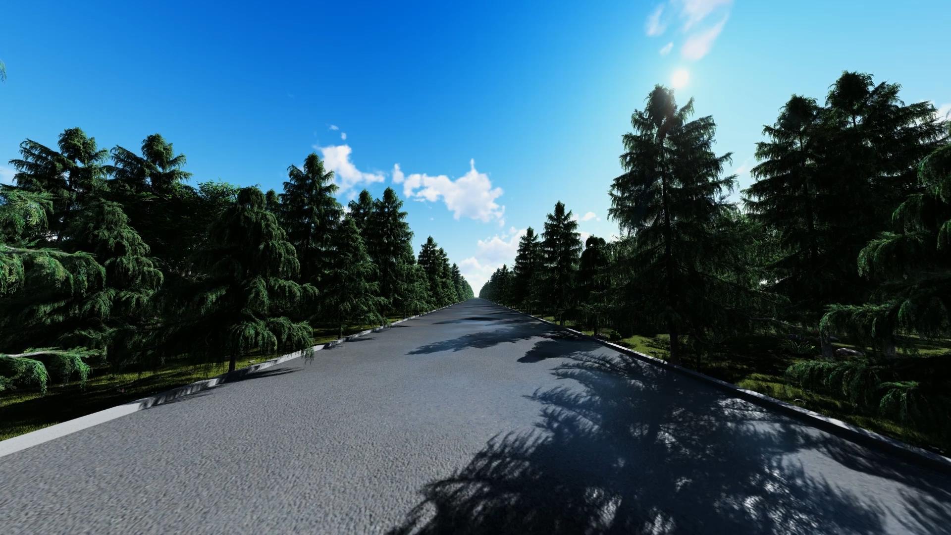 树林路背景视频的预览图