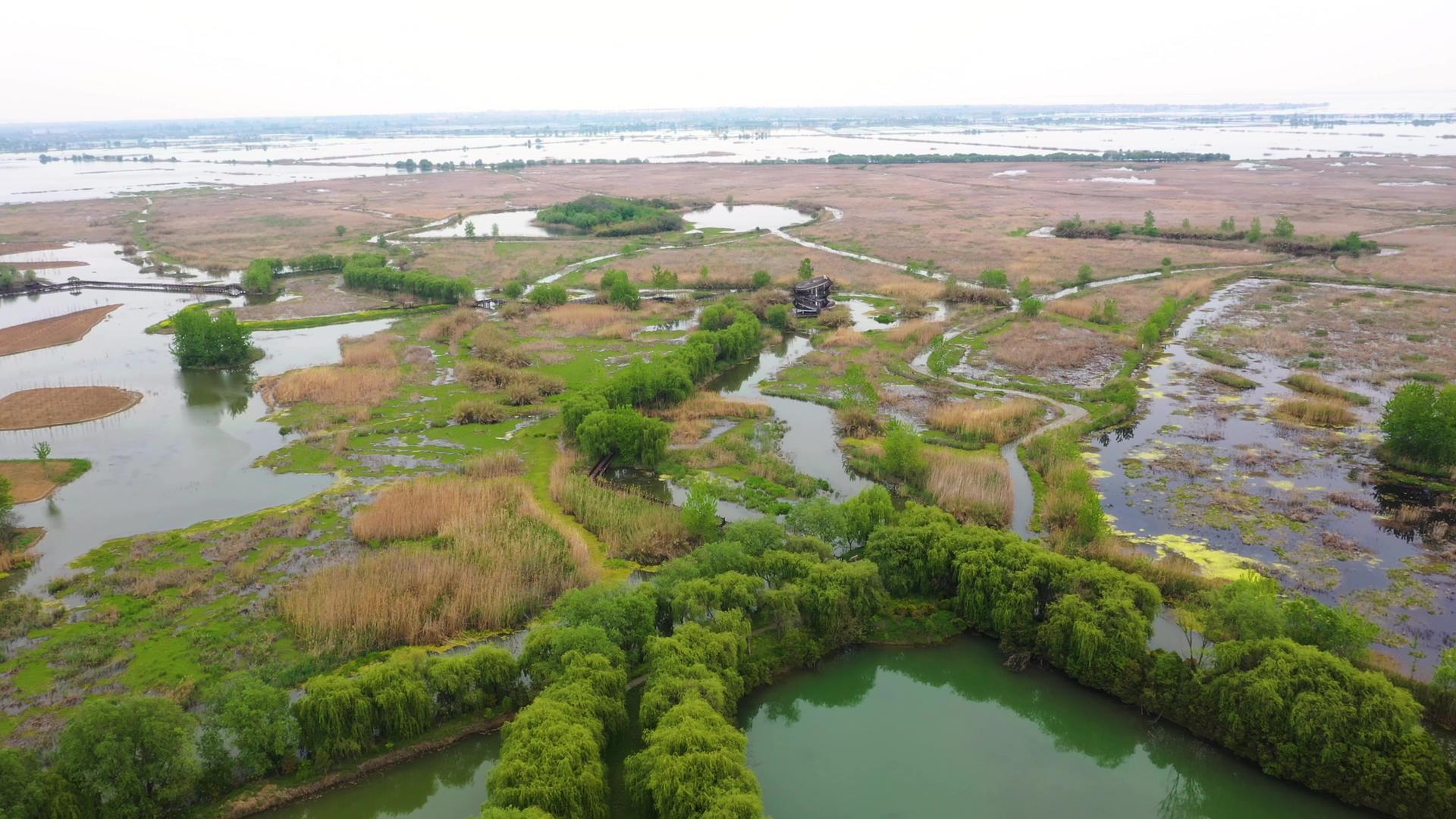 5A宿迁洪泽湖湿地国家级自然保护区景点芙蓉湾视频视频的预览图