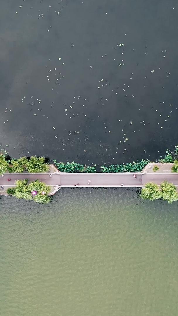 湖心岛自然环境视频素材航拍绿意盎然视频的预览图