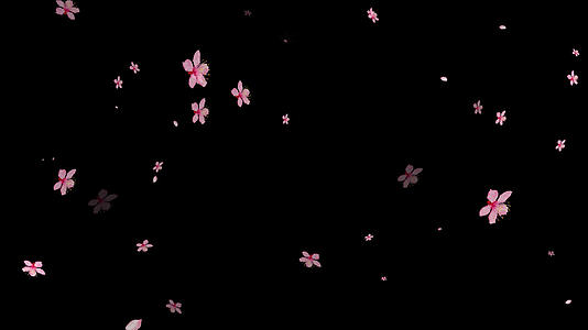 4K樱花飘落元素带通道视频的预览图