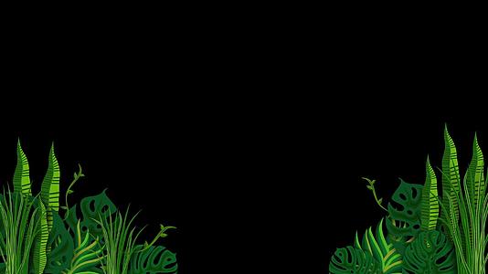 卡通边框植物生长透明动态素材视频的预览图