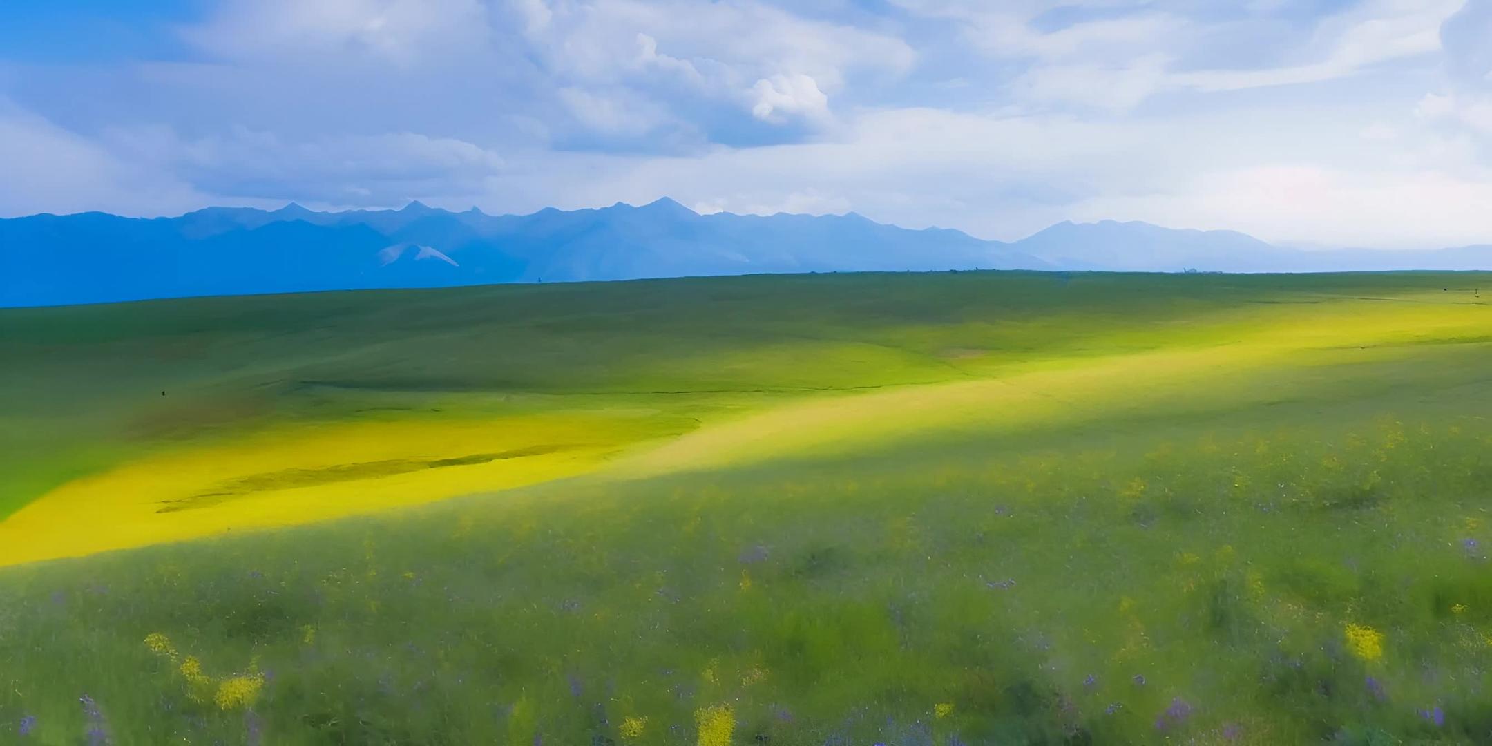 新疆喀拉峻草原美景视频的预览图