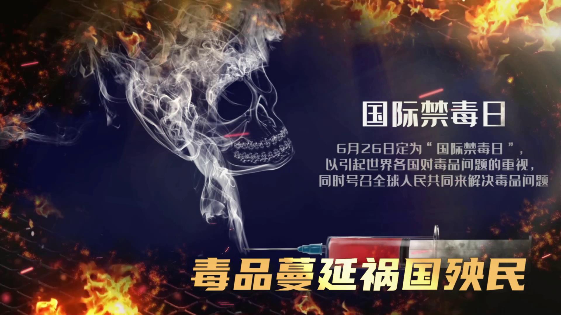 国际禁毒日宣传图文展示视频的预览图
