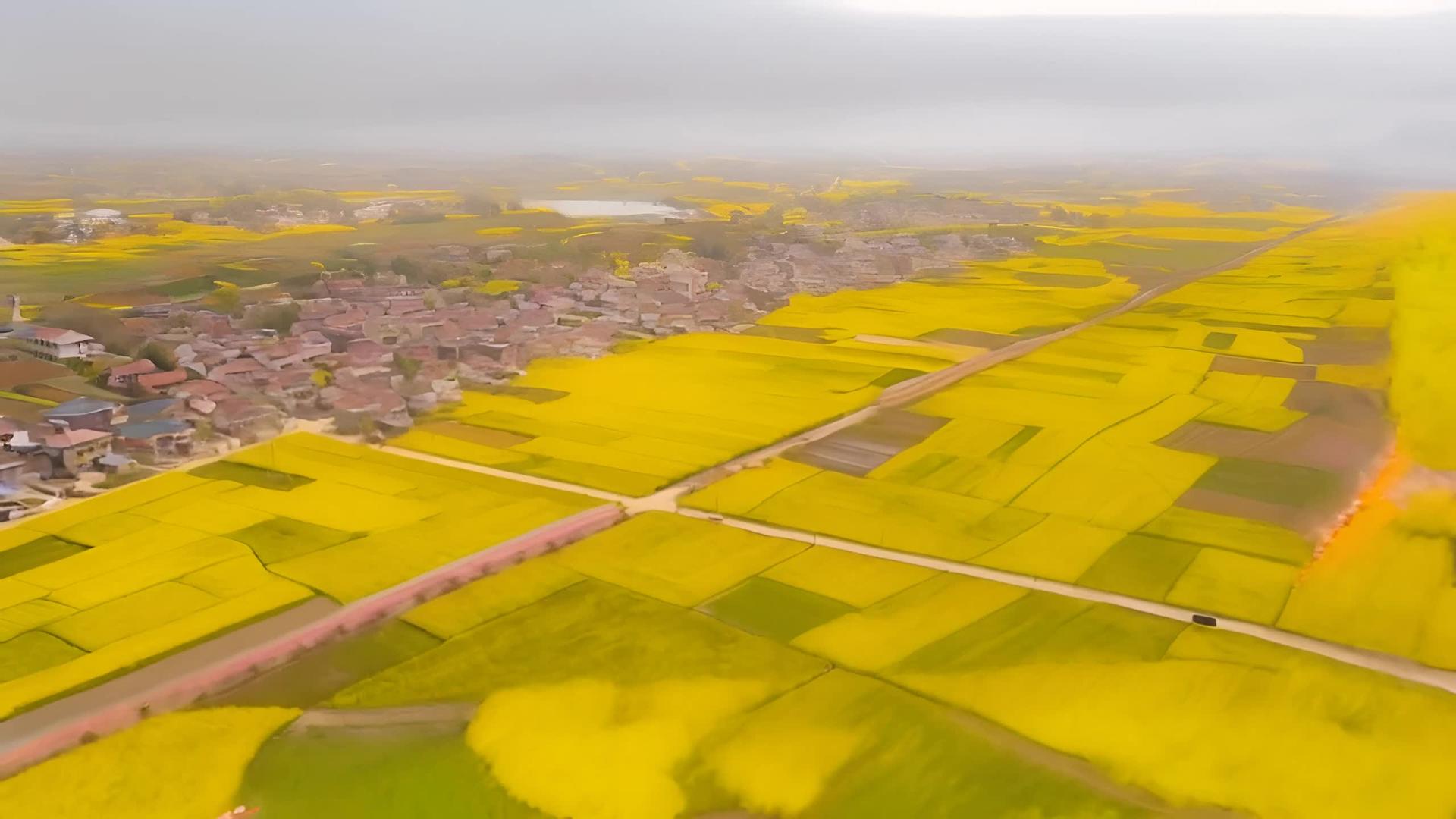 陕西汉中油菜花春风景视频的预览图