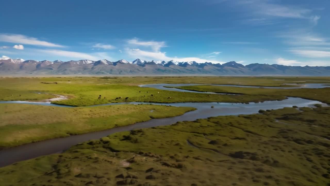 新疆巴音布鲁克草原5A景区雪山湿地视频的预览图