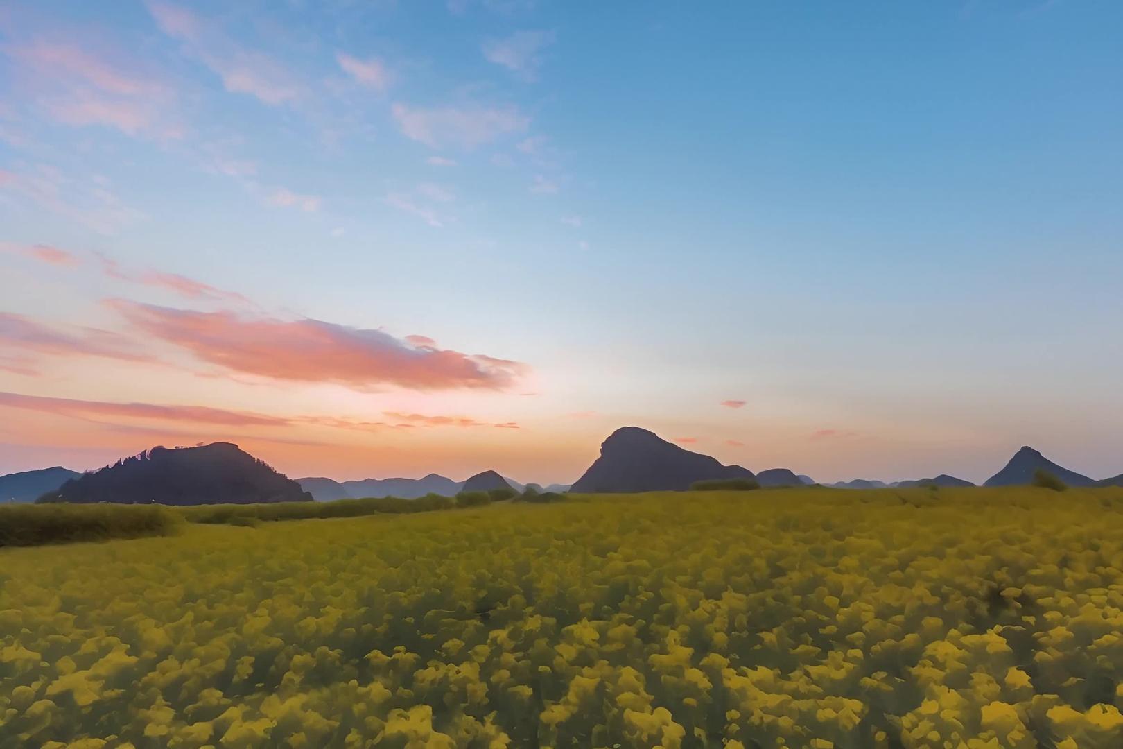 云南罗平金鸡峰油菜花海日出风景视频的预览图