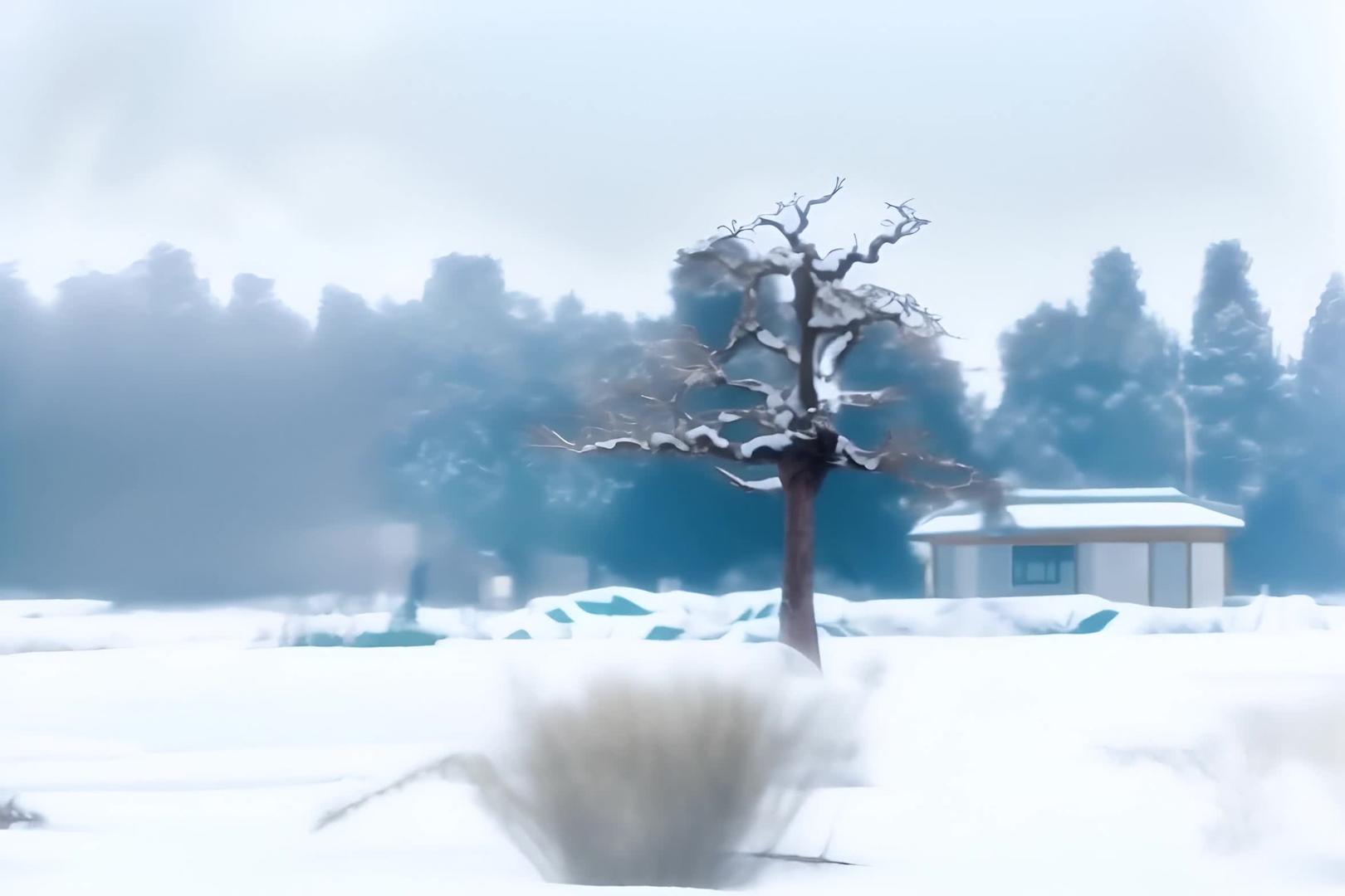 冬天雪中的美景视频的预览图